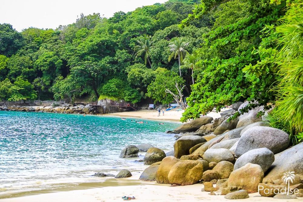 Paradise Beach Backpackers Hostel Patong 외부 사진