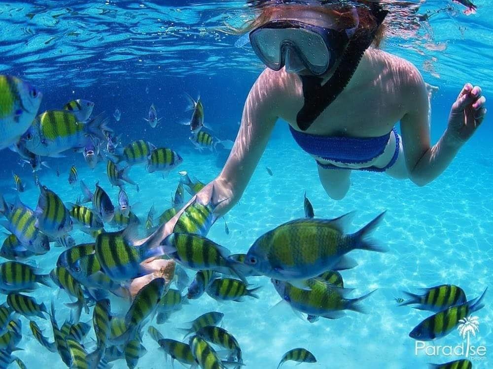 Paradise Beach Backpackers Hostel Patong 외부 사진